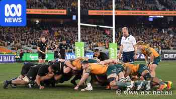 Three-game Bledisloe Cup series looms as new deal struck