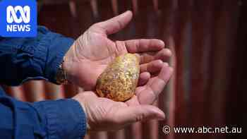 Amateur prospector finds $150,000 gold nugget in outback
