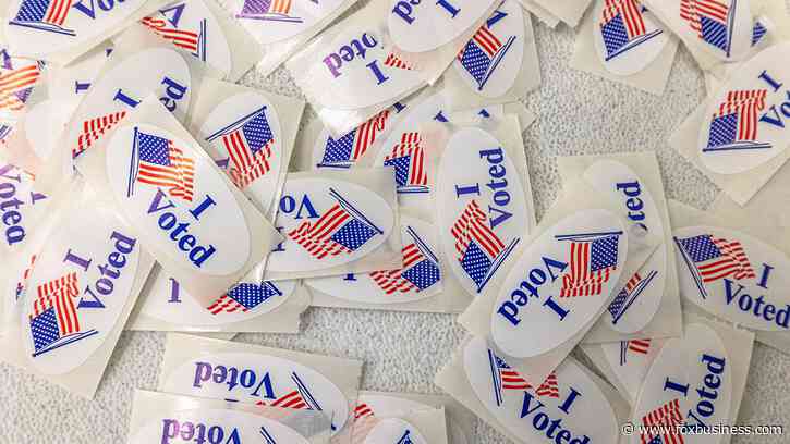 Claude AI accessed publicly available Georgia voter data, Anthropic confirms
