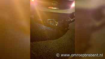 Hond overleden na aanrijding met auto op A58 bij Moergestel