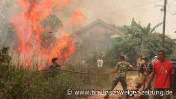 Klimakrise in Indonesien: Land erlebt schlimmste Brandsaison seiner Geschichte