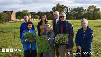 Plans to create a wildflower meadow take shape