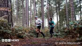 What is the appeal of the backyard ultra?