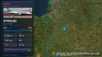 Passenger taken ill as Ryanair flight to Manchester sparks emergency response