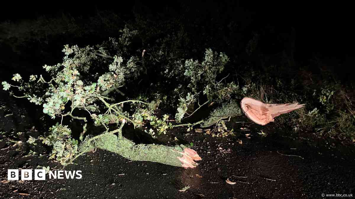 Hundreds still without power after Storm Boelo