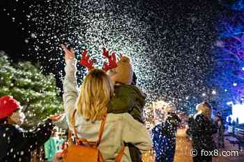 Wild Winter Lights returns to Cleveland Metroparks Zoo