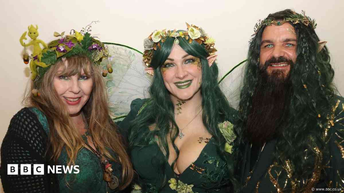 'Winter-ready bear' and 'faeries spotted'