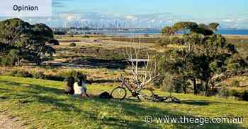 My coastal suburb’s a destination for wildlife. Yet the human population is shrinking
