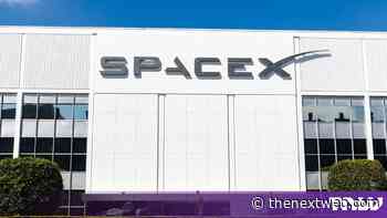 SpaceX seeks 80,000 US cell sites for a mobile network, Bloomberg reports
