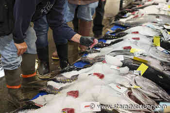 Law takes aim at illicit foreign ahi imports