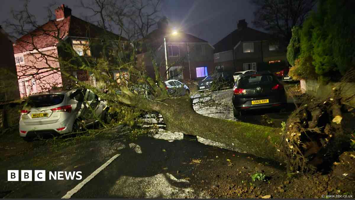 Storm leaves homes without power and cars wrecked