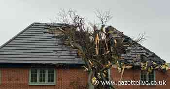 Storm Boelo leaves tree embedded in roof of brand new £600,000 Darlington home