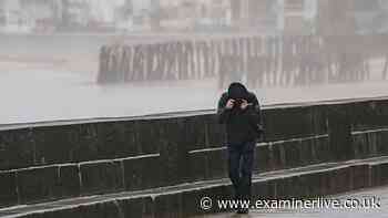 Storm Chloe LIVE Yorkshire weather updates as trees uprooted, road closures and latest on rails