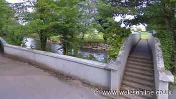 Child assaulted by woman in Bridgend as police make urgent appeal