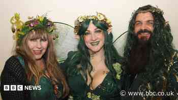 'Winter-ready bear' and 'faeries spotted'