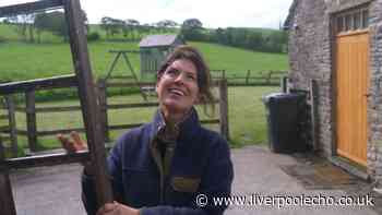 Liz and Kelvin Fletcher say 'long time coming' as they share cottage update