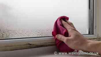Mould will bloom in your home this winter if you keep making common mistake