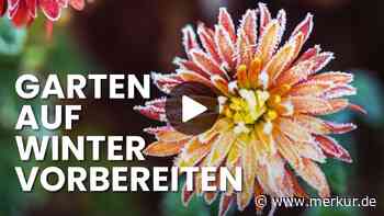 Kübelpflanzen, Mulch & Co.: So bereiten Sie Ihren Garten auf den Winter vor