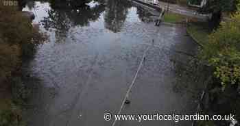 Investigations suggest potential cause of 'dramatic' drainage at Carshalton Ponds