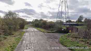 Woman dies in 'tragic' Northumberland collision after being hit by Range Rover Sport
