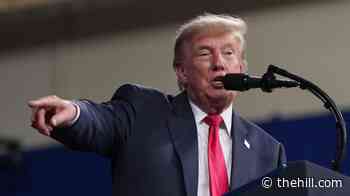 Trump praises 'proud, resilient' Libyan people after labeling country 'terror-infested'