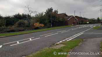 South Tyneside homeowner's bid to build house in back garden fails for second time