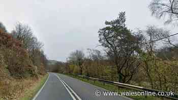Police appeal after person dies in Newtown crash