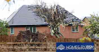 Storm Boelo smashes tree through £600,000 North East new-build
