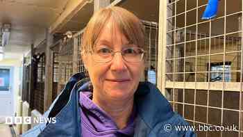 Clean-up at dog charity after 'terrifying' flood