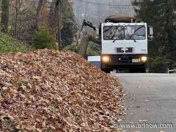 Fall leaf collection starts in two weeks in Arlington