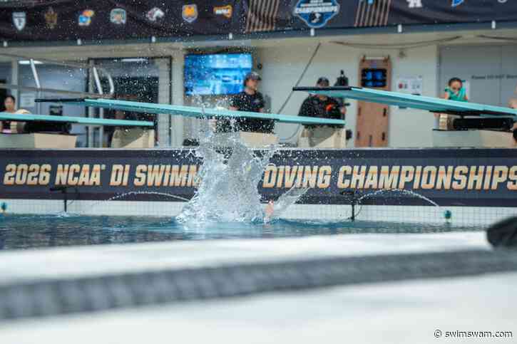 Top 10 NCAA Diving Recruits In The Boys’ High School Class of 2028