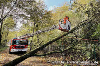 Hunderte Feuerwehreinsätze nach schweren Herbststürmen