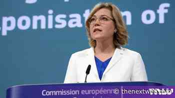 EU accepts Temu’s plan to curb illegal products after €200M fine