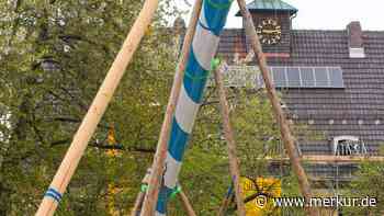 Neubiberger Maibaum wird gefällt: Fäulnis bedroht 32-Meter-Wahrzeichen