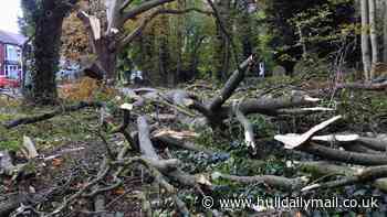 More than 130 reports of storm-related incidents across Hull and East Yorkshire during Storm Boelo
