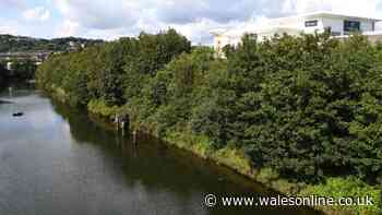 Man dies after being recovered from River Tawe