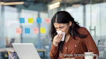 Nine in 10 UK staff work when sick as GP warns against 'powering through'