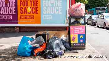 Every ward in Cardiff to get its own recycling centre