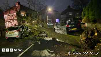 Storm leaves homes without power and cars wrecked