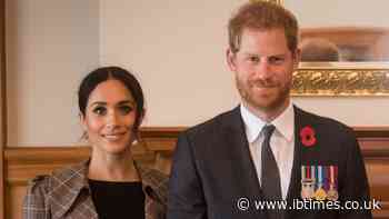 Prince Harry and Meghan Markle Are 'Desperate for Recognition' After UK Return, Ex-Royal Press Secretary Claims