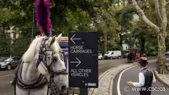 Horse-drawn carriages are still a tradition in some Canadian cities