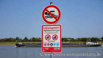 Männer ziehen Sack aus dem Rhein – Polizei findet weitere Leichenteile