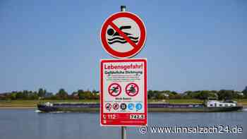 Männer ziehen Sack aus dem Rhein – Polizei findet weitere Leichenteile