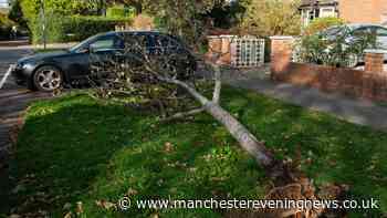 Met Office weather latest after two storms wreak havoc and 'change' to come this week