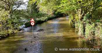 Aftermath shown as Wales hit by two storms in two days with another yellow warning confirmed