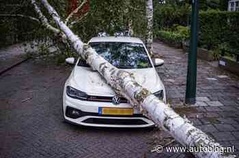 Auto's helemaal gesloopt door harde wind
