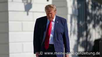 Demokraten fordern Ermittler zu Trumps Epstein-Verbindungen
