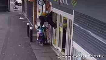 Celebrity Traitors' Joe Lycett's wonderful tribute to viral Welsh nan caught in shop shutters