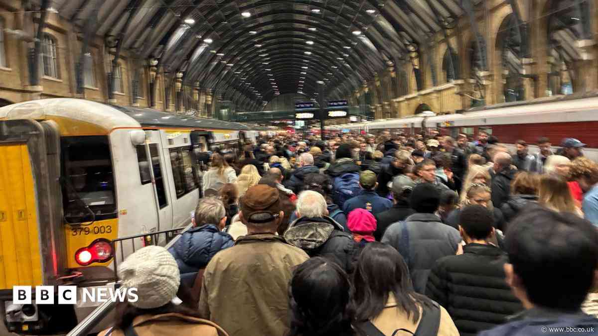 Winds and trees cause 'significant damage' to trains