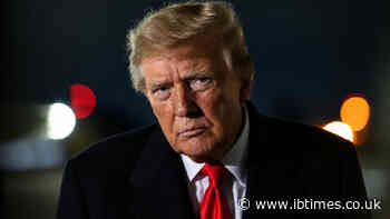 Psychiatrist Claims Trump Needs 'Hospital-Level Care' Ahead of Midterms Due to 'Fragile Mental State'